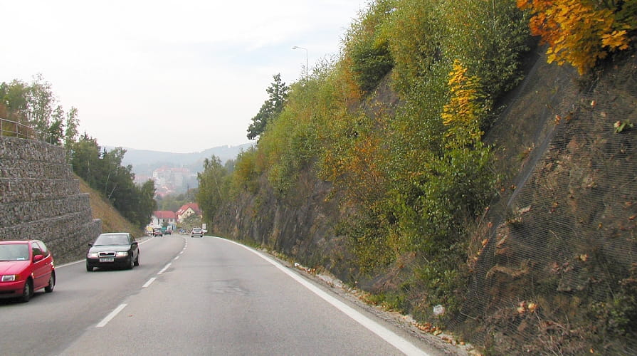 Geosiatki na skalnych ścianach